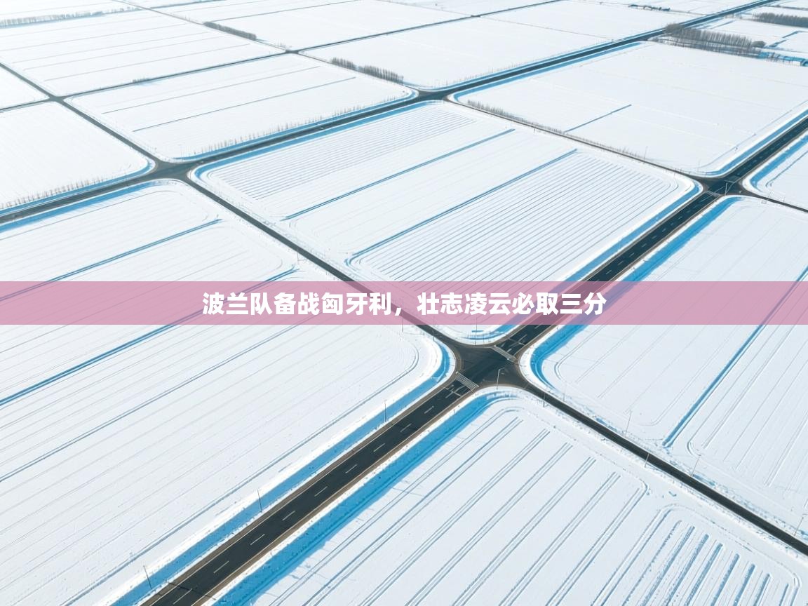 波兰队备战匈牙利，壮志凌云必取三分