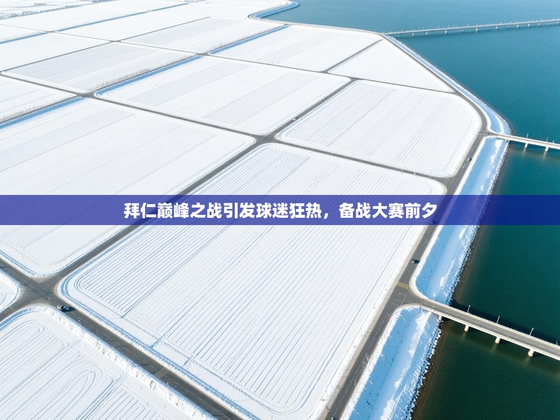 拜仁巅峰之战引发球迷狂热，备战大赛前夕  第2张